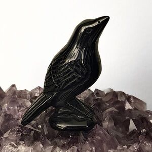 NEW AAA Premium Black Obsidian Crystal Crow Bird
